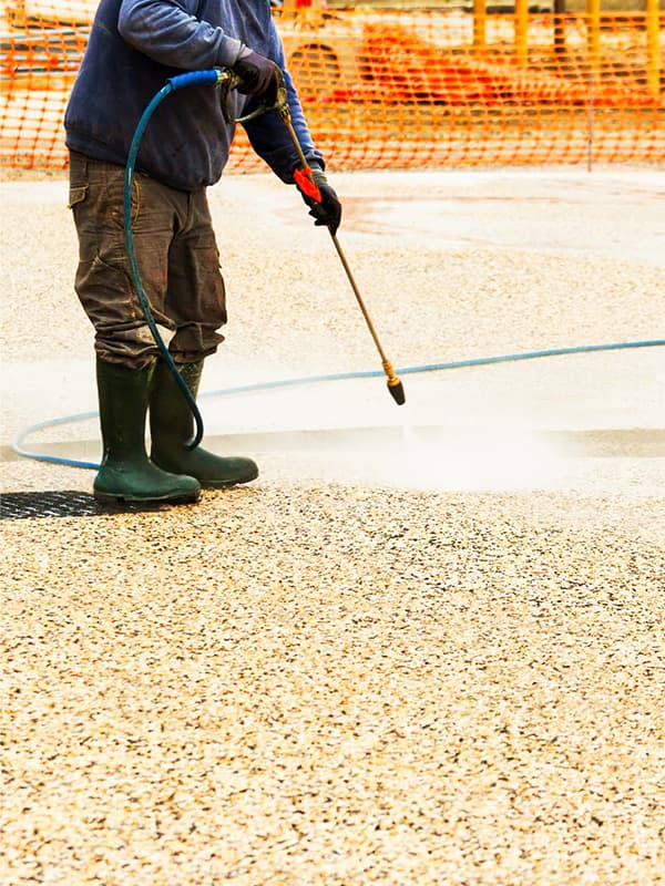 Sika-photo-left.jpg