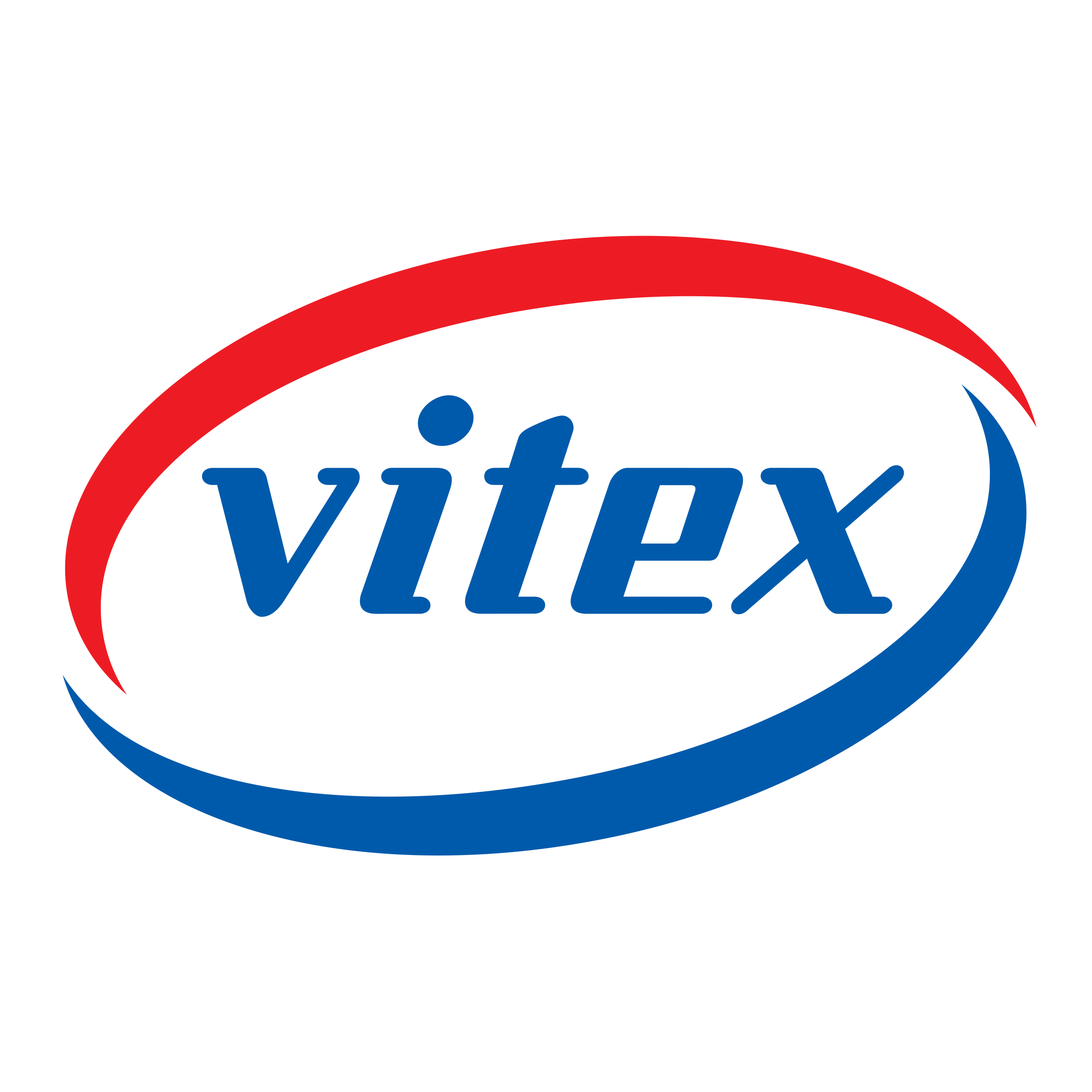 Vitex Logo OLD 2025