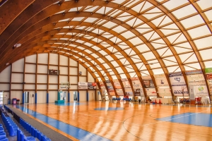 CURVED GLULAM