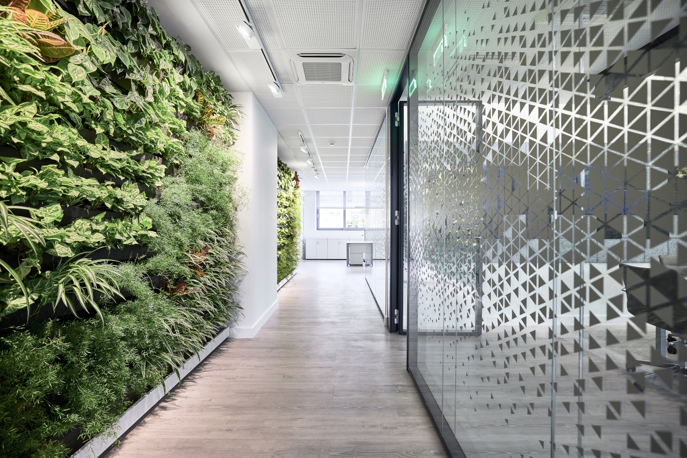 Διαμόρφωση χώρου εργασίας με διάφανα διαχωριστικά και φυτεμένο τοίχο