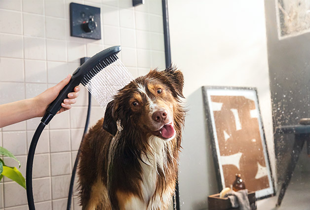 2023 – DogShower
Πρακτικό για τους τετράποδους φίλους της οικογένειας: το hansgrohe DogShower διευκολύνει τον καθαρισμό των δραστήριων κατοικίδιων, προσφέροντας μια πιο εύκολη και άνετη διαδικασία περιποίησης.